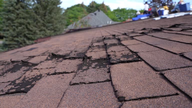 Steel Roofing in Sidney, IL
