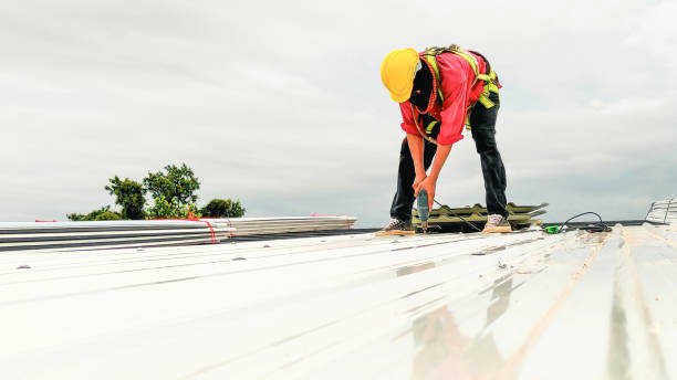 Best Roof Maintenance and Cleaning  in Sidney, IL