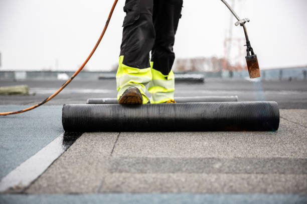 Best Storm Damage Roof Repair  in Sidney, IL