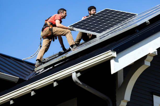 Best Chimney Flashing Repair  in Sidney, IL