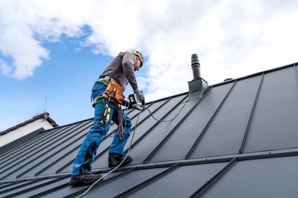Professional Roofing Services in Sidney, IL