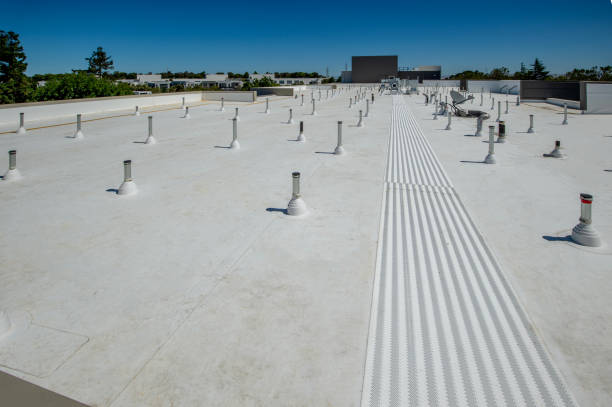 Best Roof Coating and Sealing  in Sidney, IL
